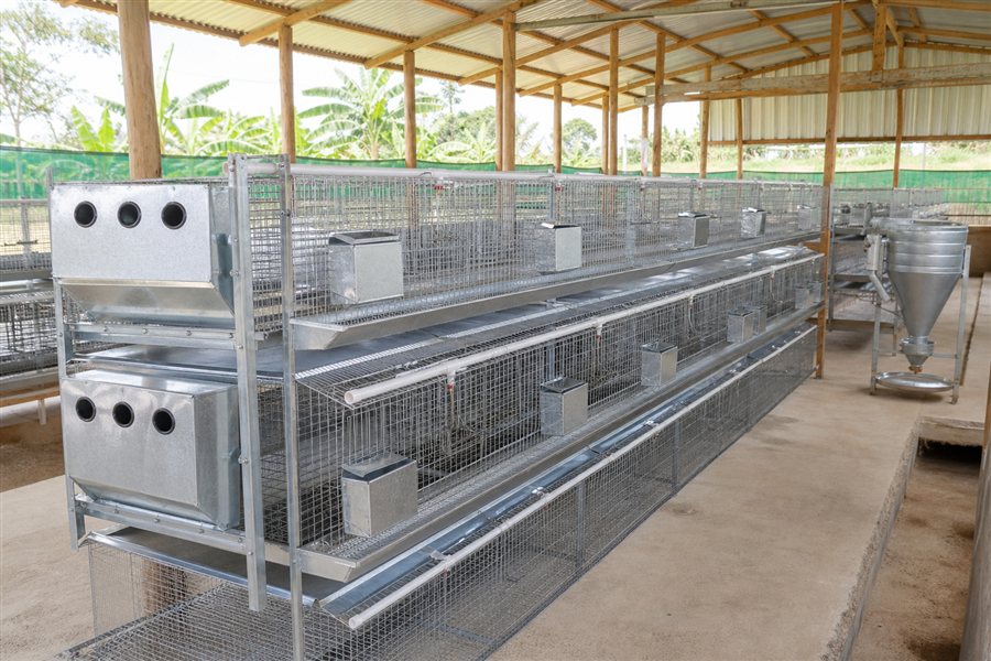 Housing & Equipment supplied by Rabbitex